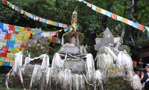Trumpet Shell Valley(Hailuogou)